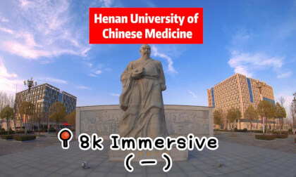 Henan University of Chinese Medicine