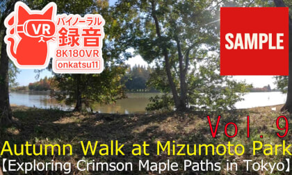 【SAMPLE】🍂 [Autumn Walk at Mizumoto Park — Exploring Crimson Maple Paths in Tokyo (8K VR180 & Binaural Audio)] Chapter Nine‼