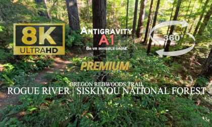 Through the Oregon Redwoods | A Quiet Winter Flight | Antigravity A1 Invisible Drone (Premium)