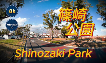 【VR180 3D】东京筱崎公园｜日间立体绿意漫步/【VR180 3D】A Green Escape: Shinosaki Park, Tokyo | Immersive Daytime Stroll/【VR180 3D】東京・江戸川区 篠崎公園 緑の立体散歩