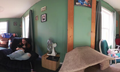Cats In Livingroom 360
