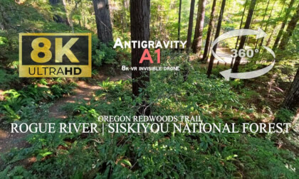 Through the Oregon Redwoods | A Quiet Winter Flight | Antigravity A1 Invisible Drone (non-premium)