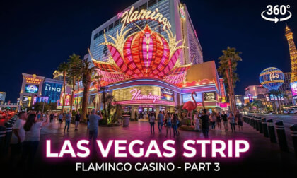 Flamingo Casino in Las Vegas | 8K 360° VR Experience