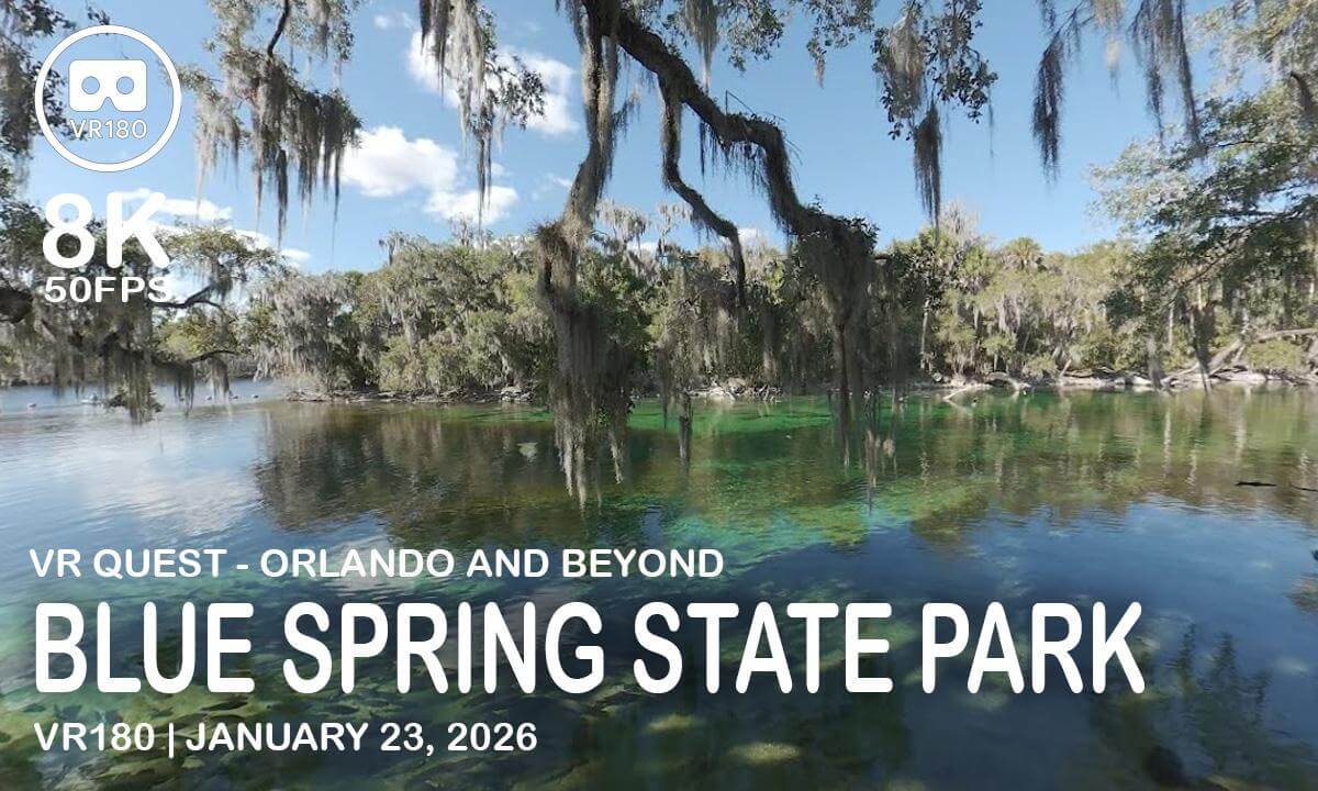 Blue Spring State Park Manatees - VR180 8K 50 FPS