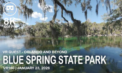 Blue Spring State Park Manatees - VR180 8K 50 FPS