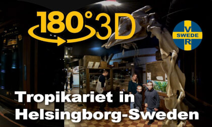 The tropical world in Helsingborg-Sweden