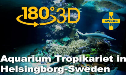 Aquarium in Tropikariet in Helsingborg