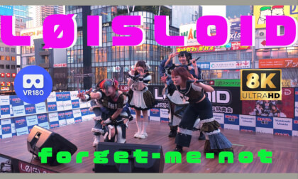 LOISLOID forget-me-not