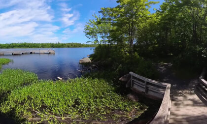 Jerry Lawrence Provincial Park Boardwalk