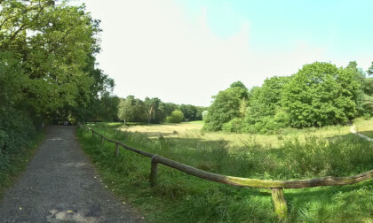 Rodelbahn Zehlendorf, Germany, Berlin, Trailer, 8k, 360°