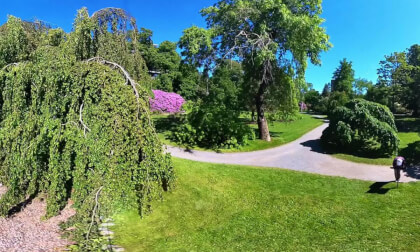 Halifax Public Gardens