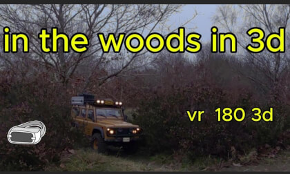 crawlers in the woods in 3d