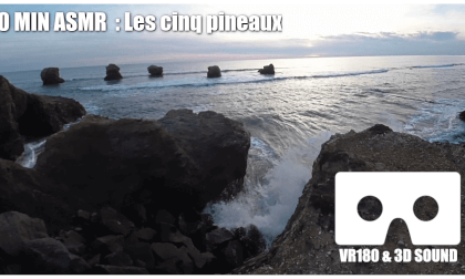 [ 10 Min ASMR ] Les 5 pineaux
