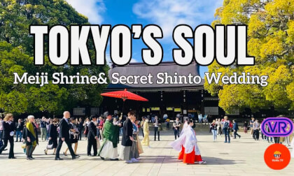 【180° VR】Tokyo’s Silent Soul: Witnessing a Secret Shinto Wedding in the Heart of Meiji Shrine
