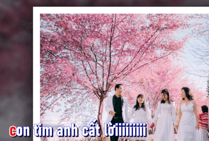 DINH TINH TRUONG DALAT 1957 VR Video DINH TINH TRUONG DALAT 1957 VR