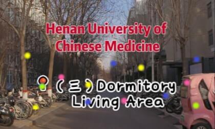 Dormitory Living Area