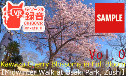 【SAMPLE】🌸 [Kawazu Cherry Blossoms in Full Bloom—Midwinter Walk at Ōsaki Park, Zushi (8K VR180)]Chapter Zero‼