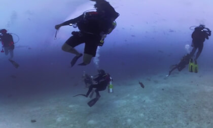 ASMR 360° : MANTA (MALDIVES) (4K)