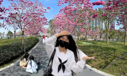 Qianhai Shenzhen Bay | Flowers by the Sea in a Modern City｜China Travel｜Relaxing