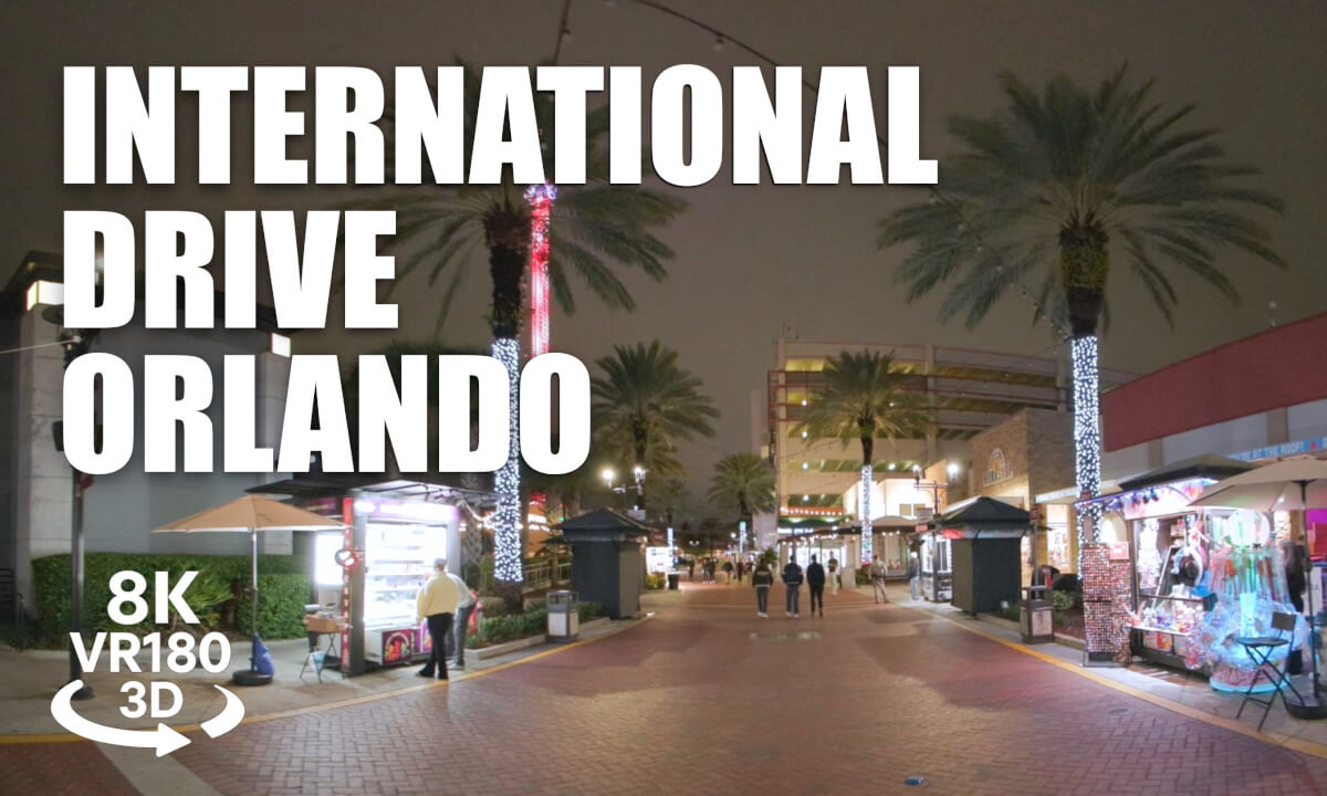 Orlando International Drive Night Walk VR180 8K 3D | Nightlife, Lights, Florida | VR视频 8K 3D動画 VR旅行