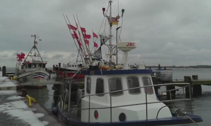 Insel Fehmarn Januar 2026