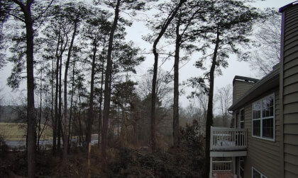 Light Snowfall (Teche VR180)