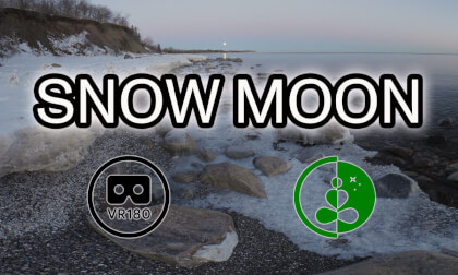 SNOW FULL MOONRISE | Experience pure winter serenity in VR180 8K.