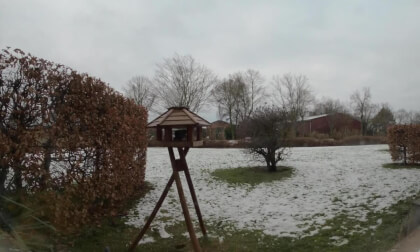 Flugverkehr am Vogelhaus-Air traffic at the birdhouse