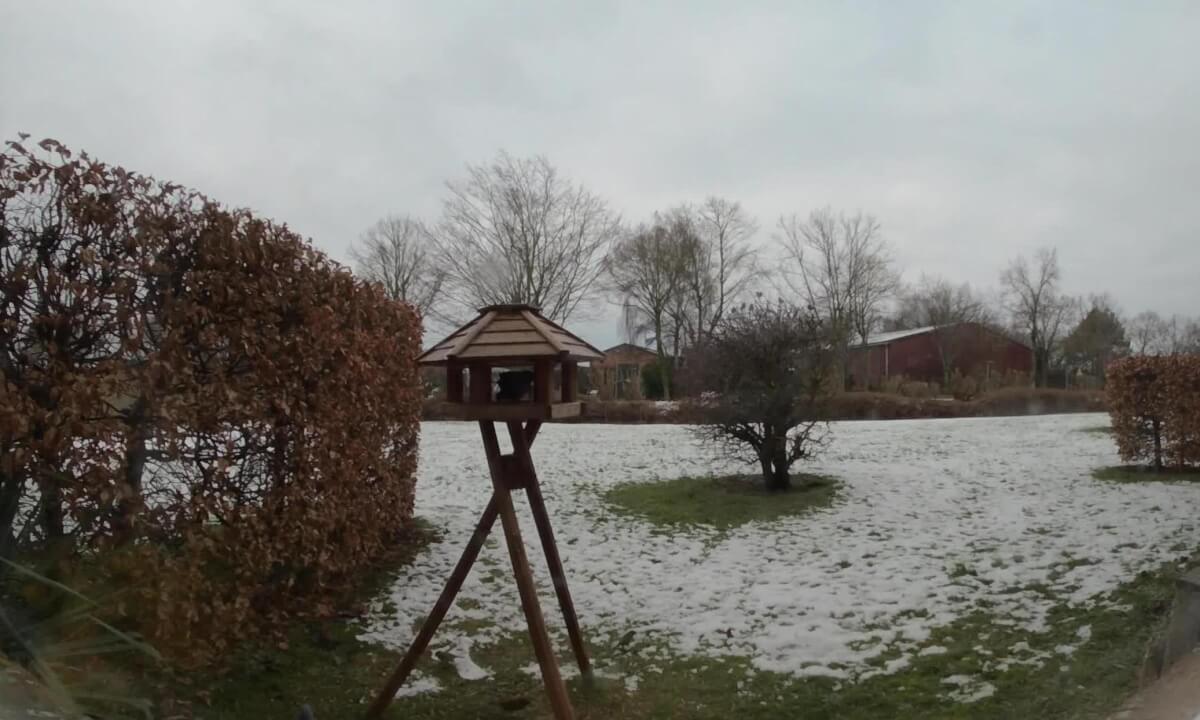 Flugverkehr am Vogelhaus-Air traffic at the birdhouse