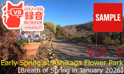 【SAMPLE】🌱 [Early Spring at Ashikaga Flower Park — Breath of Spring in January 2026 (8K VR180 & Binaural Audio)] ✨🌸 Chapter Two‼