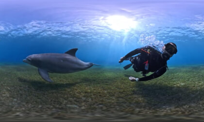 DIVE 360° : POMME IS BACK (GUADELOUPE) (VR360+4k)