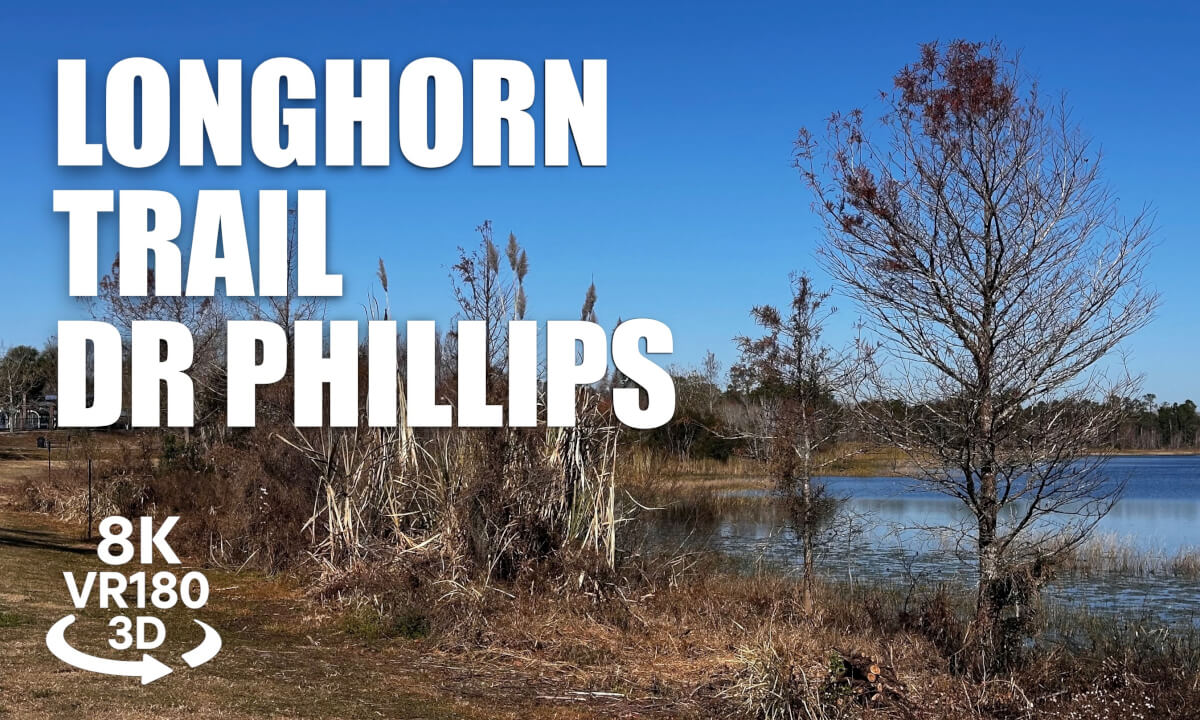 Longhorn Trail Dr. Phillips Park Orlando VR180 3D Big Sand Lake Nature Walk Florida VR视频 3D動画 VR旅行