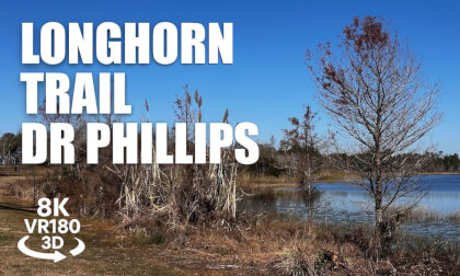 Longhorn Trail Dr. Phillips Park Orlando VR180 3D Big Sand Lake Nature Walk Florida VR视频 3D動画 VR旅行