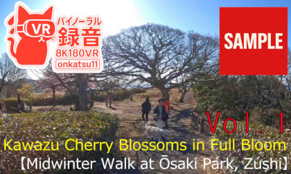 【SAMPLE】🌸 [Kawazu Cherry Blossoms in Full Bloom — Midwinter Walk at Ōsaki Park, Zushi (8K VR180 & Binaural Audio)] 🌊✨ Chapter One‼