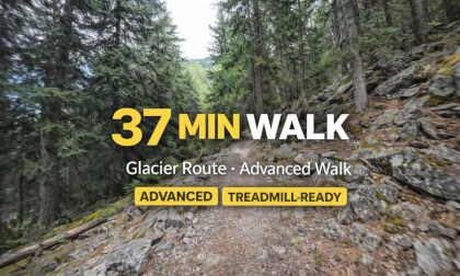 Glacier Route | 37min | Advanced Walk | 2.2 km/h | Elevation & Turns