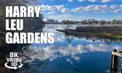 Harry P. Leu Gardens Downtown Orlando VR180 3D Botanical Gardens, Lake Rowena Florida VR视频 3D動画 VR旅行