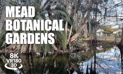 Mead Botanical Gardens Winter Park VR180 3D | Howell Creek, Nature Trails Florida | VR视频 3D動画 VR旅行