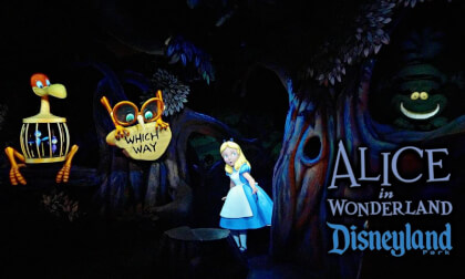 Alice in Wonderland On Ride Low Light 4K POV Disneyland 2025 12 21