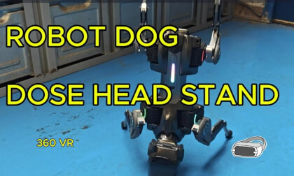 ROBOT DOG