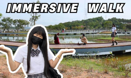 Immersive tour of the wetland park | Relaxation