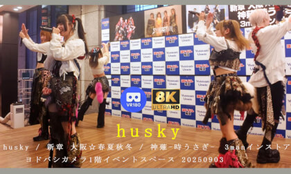 husky　Freelive