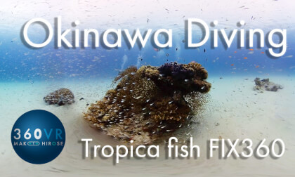 Okinawa Diving -Travel JAPAN- [ Tropical fish FIX360  ]