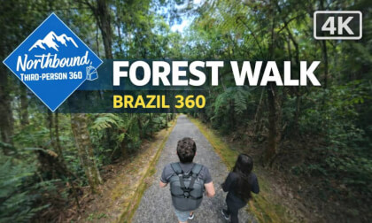 Walking Tour Brazil: Forest Trail Walk in Rio Negro (PR) • Third-Person 360