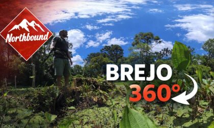 Cena 360 Imersiva em Área Pantanosa 8K