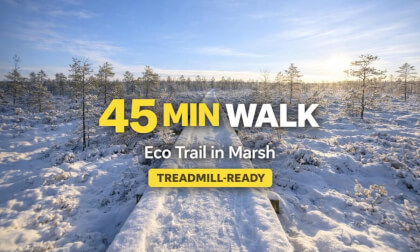 45 MIN WALK | Eco Trail in Marsh | 6.3 km/h | Treadmill-Ready