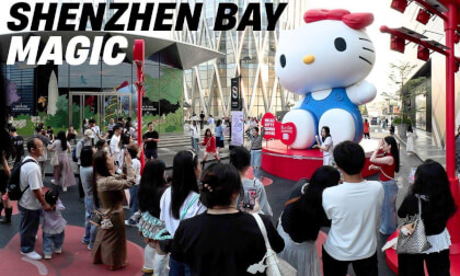 The Urban Magic of Shenzhen Bay | 2km Super Bridge