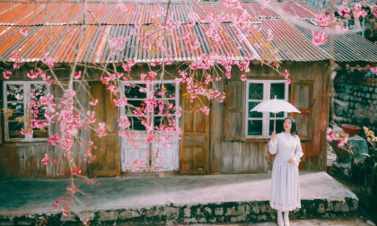 NGƯỜI YÊU CŨ KHỞI MY LIVE ĐÀ LẠT 4K VR Lululola VR Video NGƯỜI YÊU CŨ KHỞI MY LIVE ĐÀ LẠT 4K VR Lululola VR