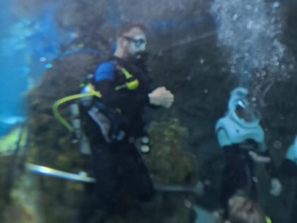 360º SeaVenture Underwater Walk at Sea World Abu Dhabi