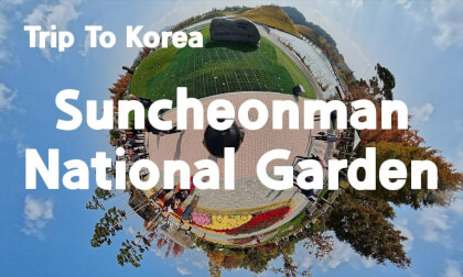 [360 Trip to Korea] A Flower Kingdom in South Korea 🌷 Suncheonman National Garden