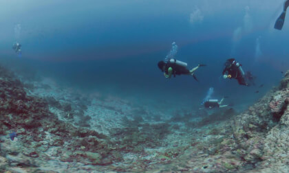 2026-01-17 First Dive near Dhigurah Maldives @Maldives Dhigu Divers